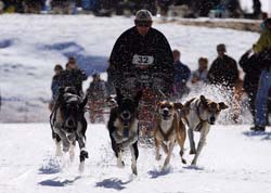 musher112031508