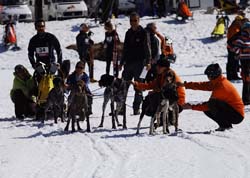 musher121031508