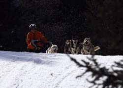 musher149031508