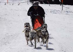 musher152031508
