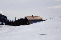 musher156031508
