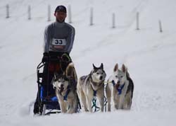 musher158031508