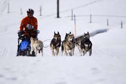 musher161031508