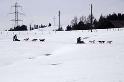 musher166031508
