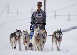 musher170031508