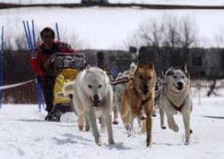 musher188031508